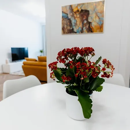 Apartament Evo Oasului Kluż-Napoka