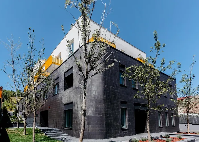 Evo Oasului * Kluż-Napoka